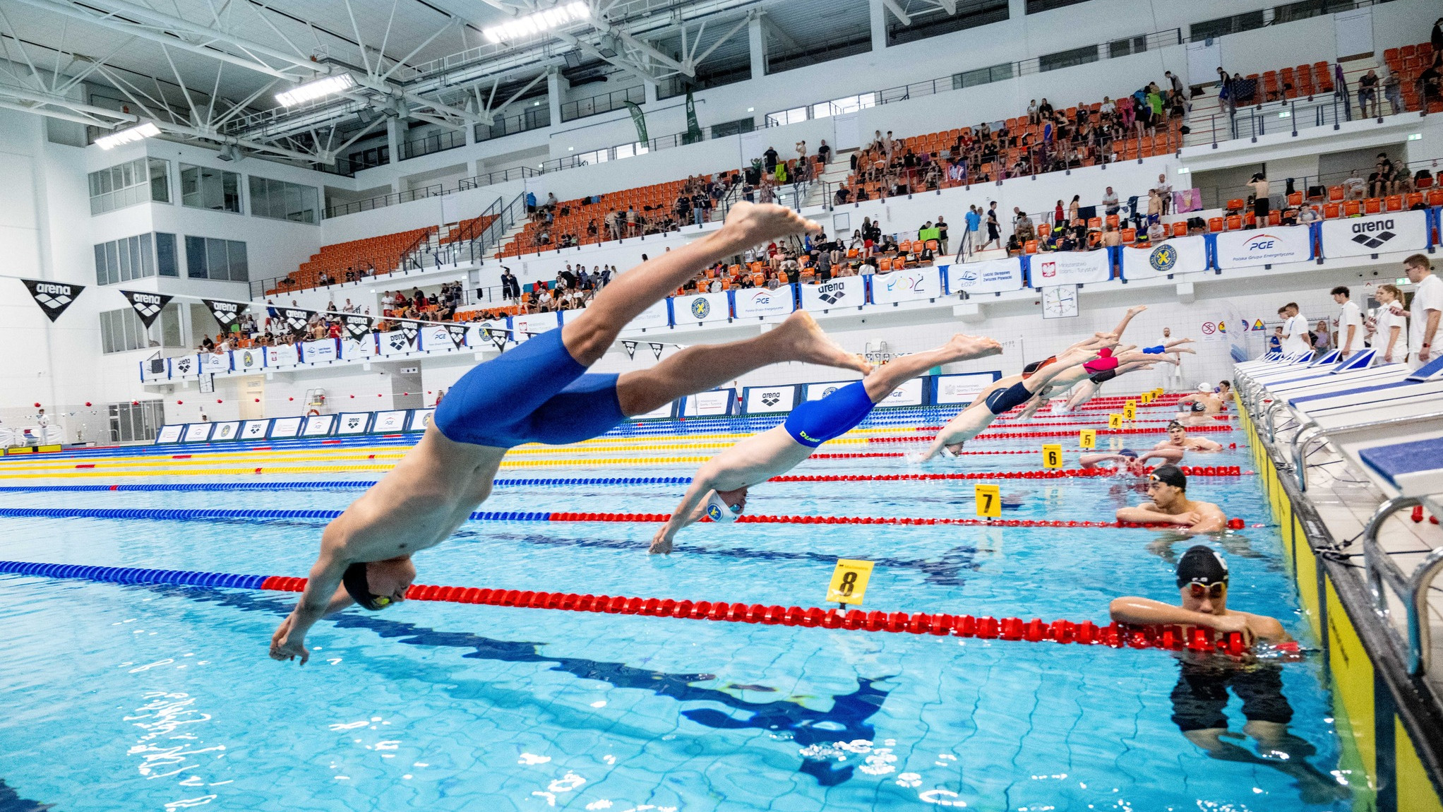 finał Arena Grand Prix Puchar Polski w pływaniu 2024 Zatoka Sportu PŁ