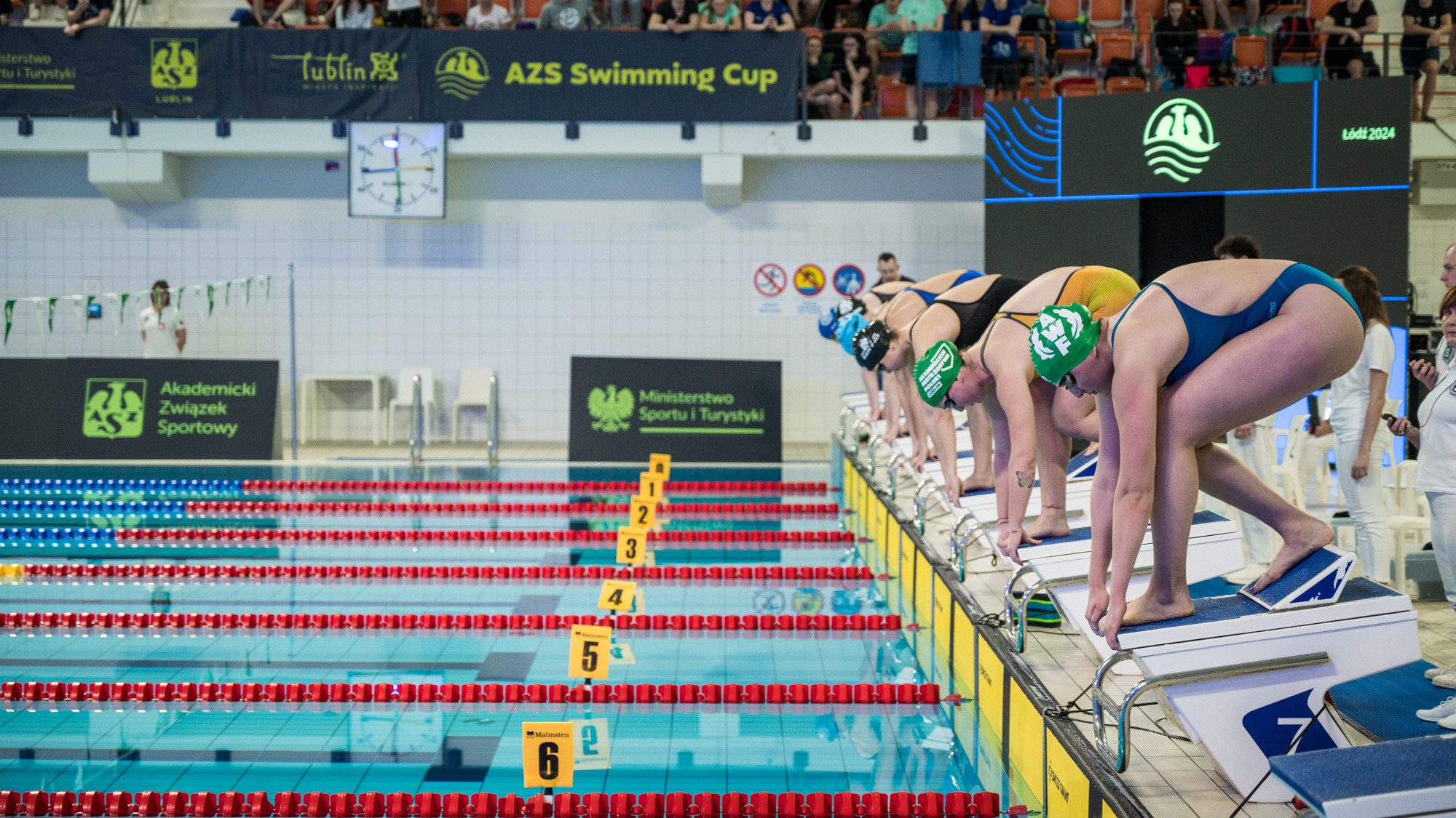 azs swimming cup zatoka sportu pł