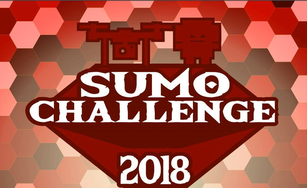 sumo challenge 2018 Zatoka Sportu PŁ
